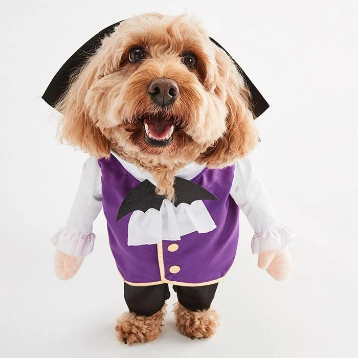 POS_43173365_2+217FBF copy.jpg