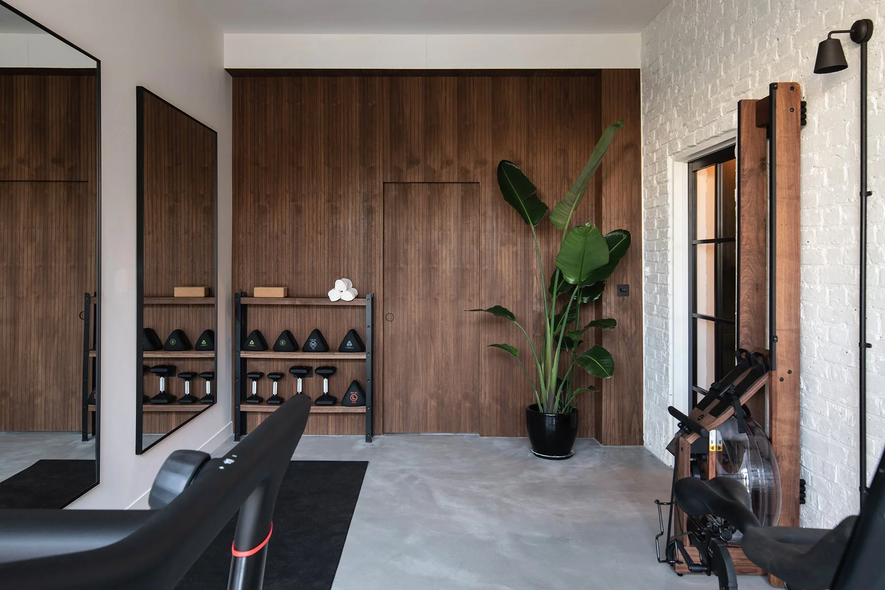 Modern home gym corner with a large potted plant, wooden wall panels, mirror, small black weight rack with weights, and exercise equipment.