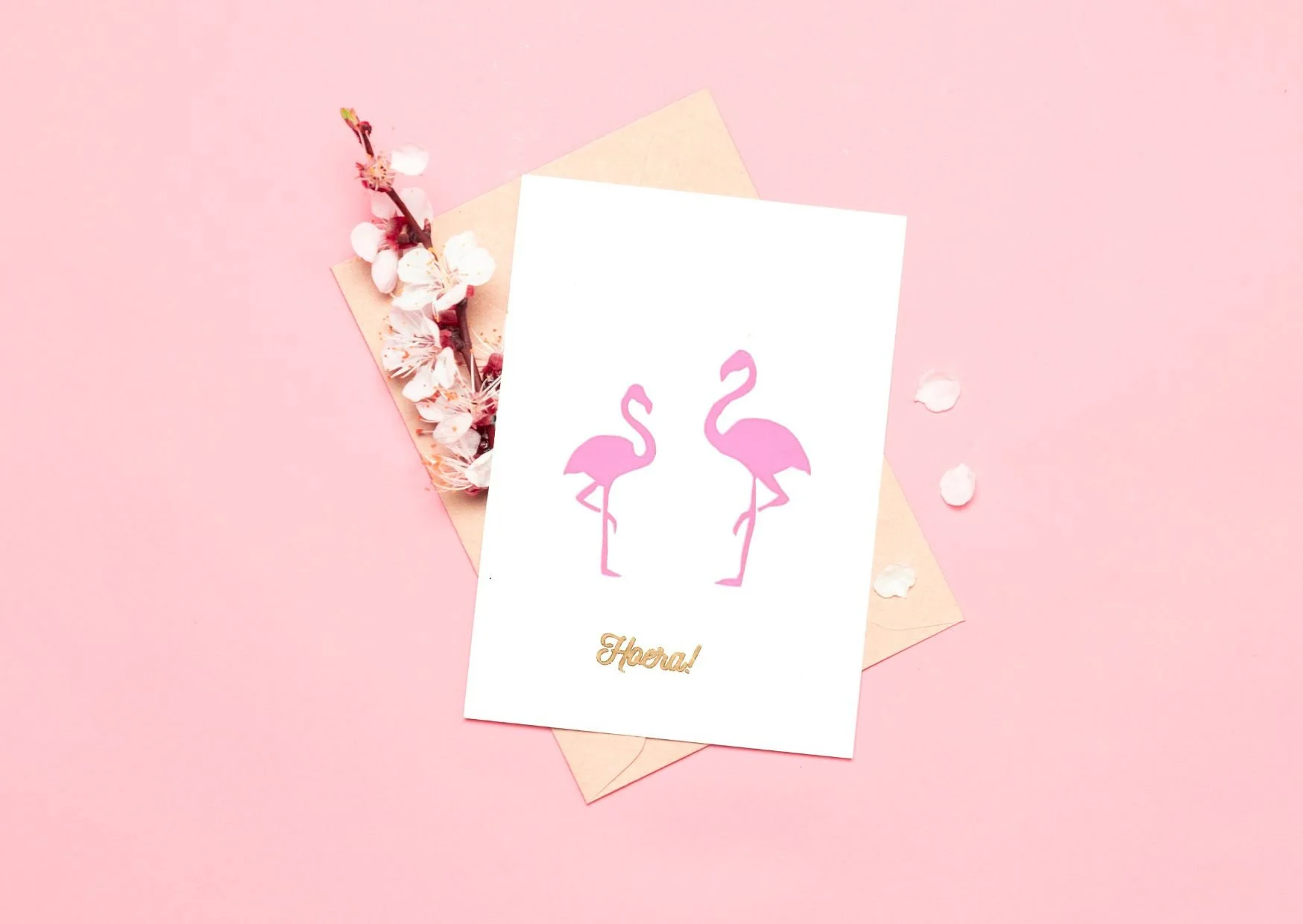 Flamingo Hoera