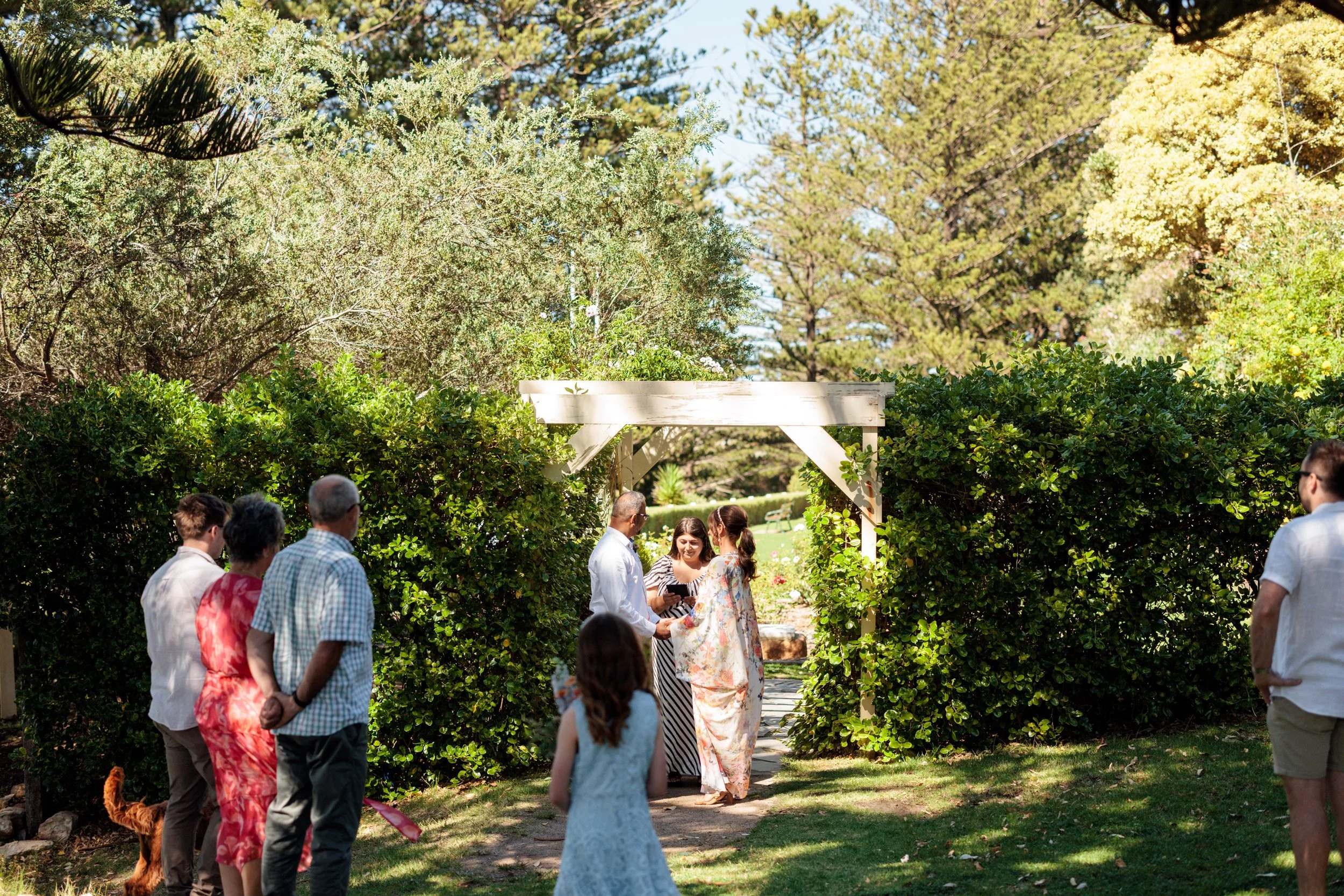 People participating in an outdoor wedding ceremony in a lush garden with trees, shrubs, and sunlight.