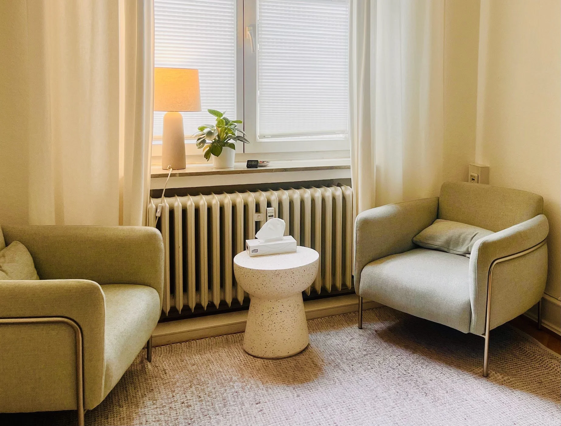 Gemütliches Wohnzimmer mit zwei modernen, bequemen Armchairs, einem kleinen runden Beistelltisch mit Nasentüchern, einem Heizkörper unter einem Fenster, mit weißem Rollo, einem Tischleuchte, einer Pflanze und einem Wecker auf dem Fensterbrett.