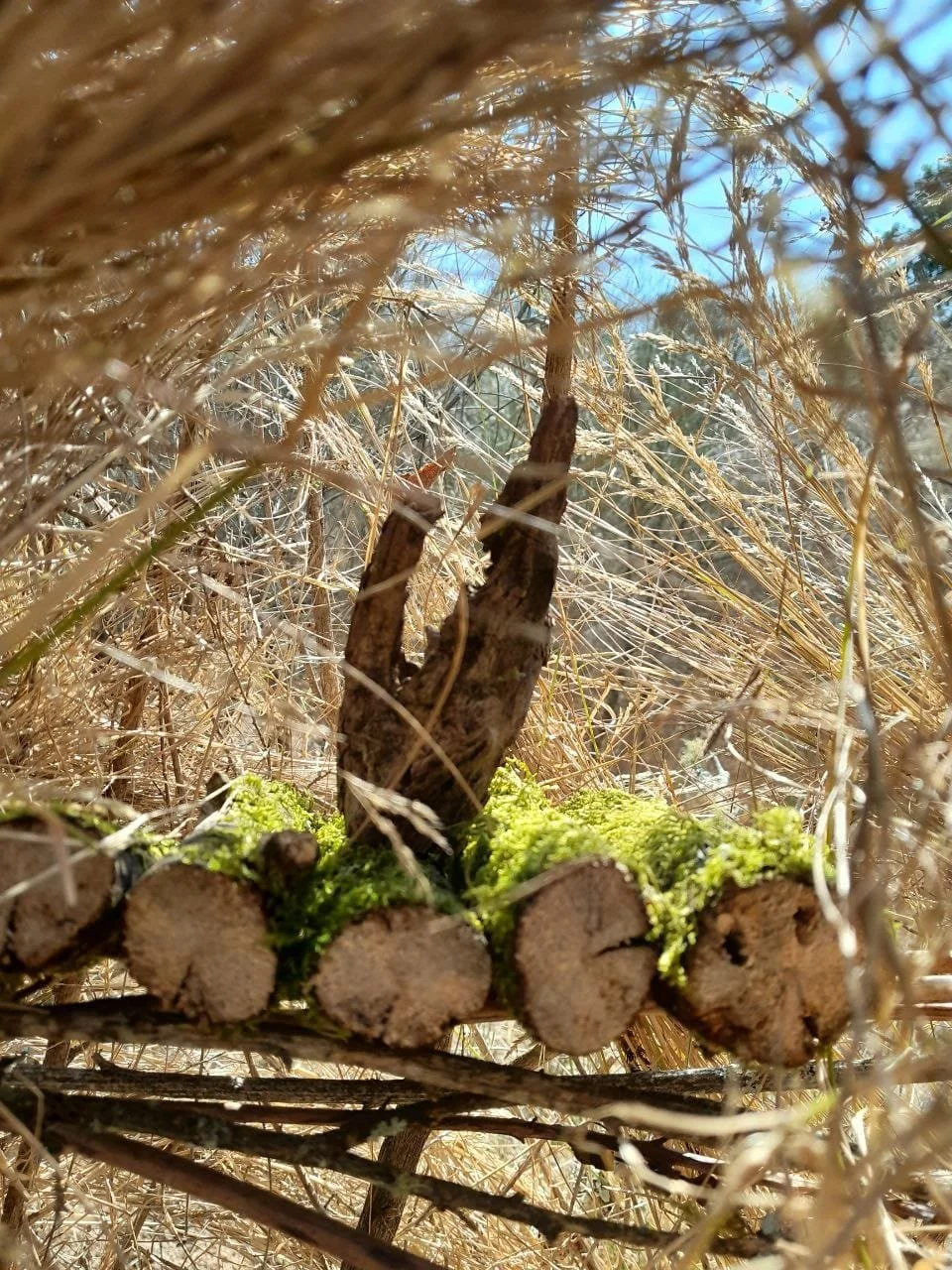 WhatsApp Image 2026-03-15 at 18.04.30.jpeg