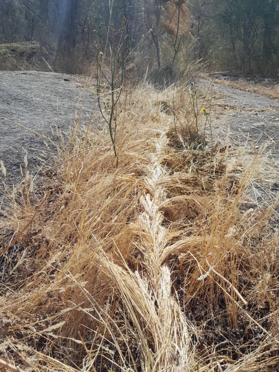 WhatsApp Image 2026-03-15 at 18.04.30 (1).jpeg