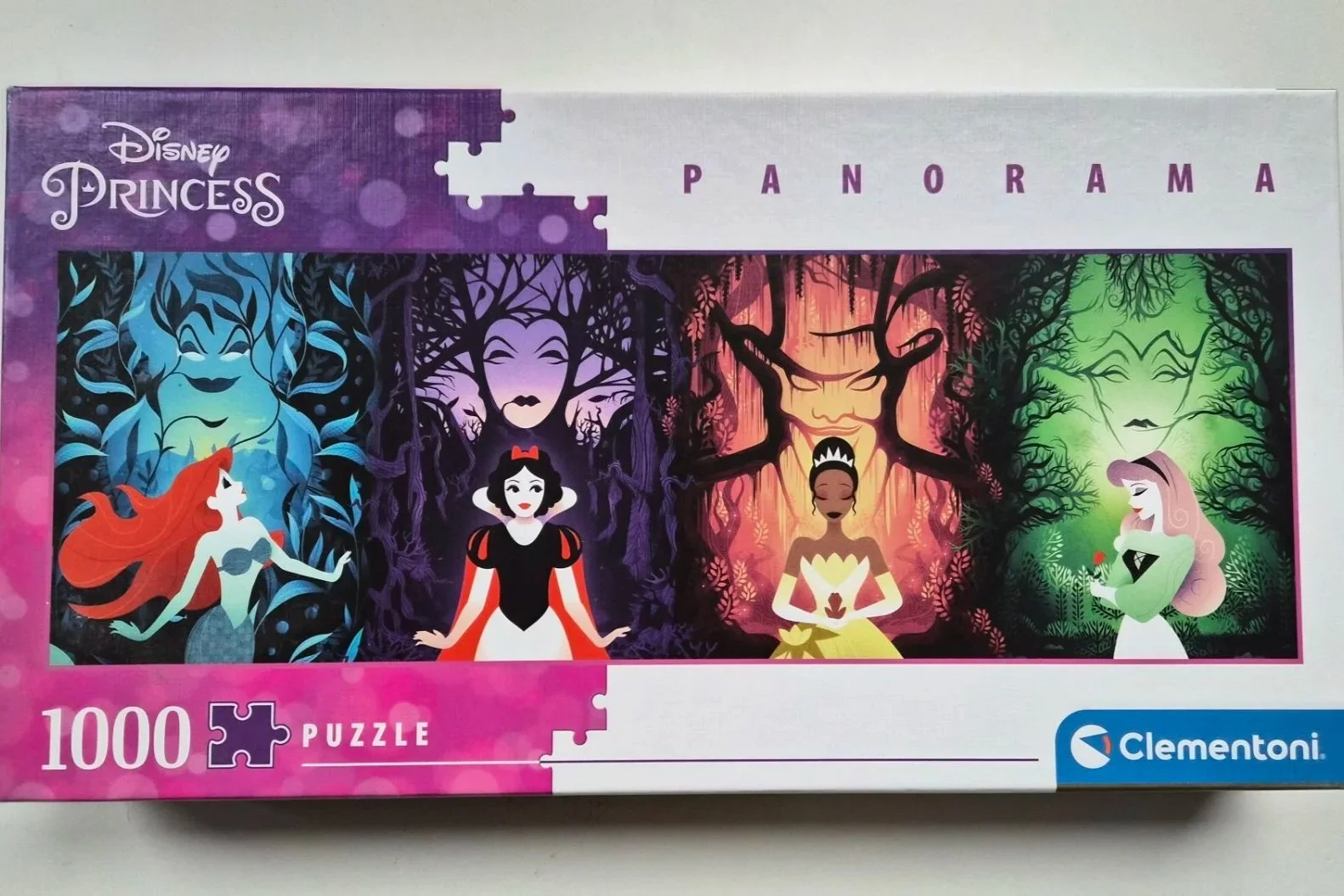 Disney Princess Panorama