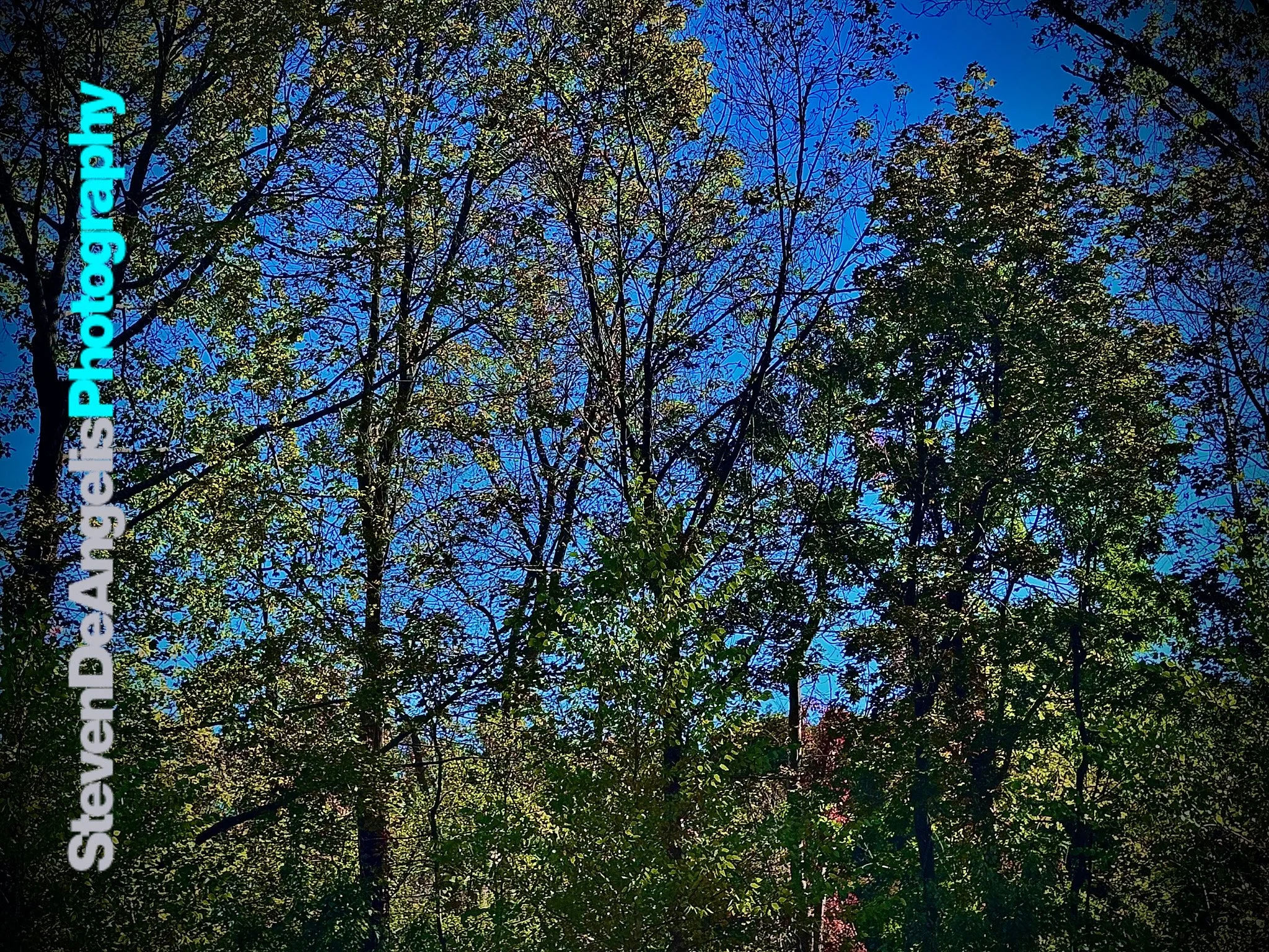 F0C2AE66-45B0-4864-9AD6-A68BA889A104.jpeg
