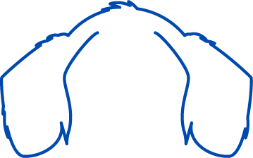 Line drawing of a dog's ears.