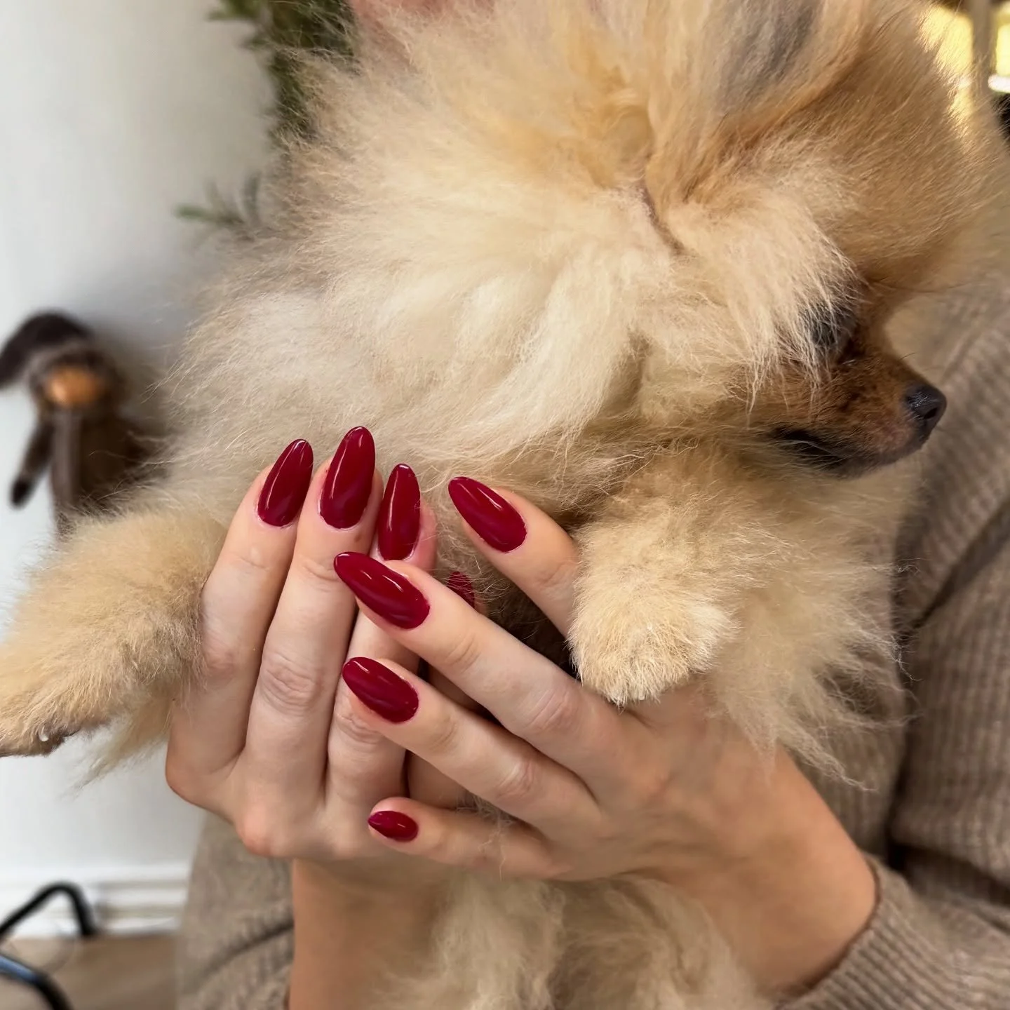 hard gel🍒❤️ @her.beauty_dk