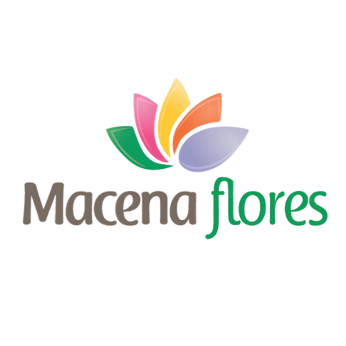 Macena Flores