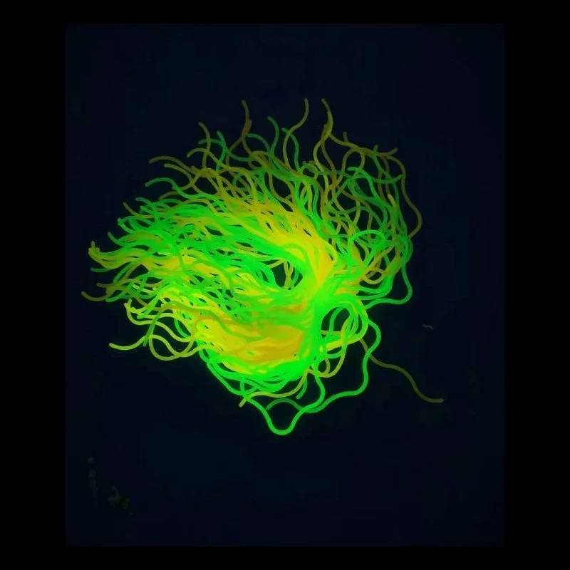 2 Pack Wavy Glow UV Spaghetti Stretchy Tactile Fidget Toy Sensory Toy