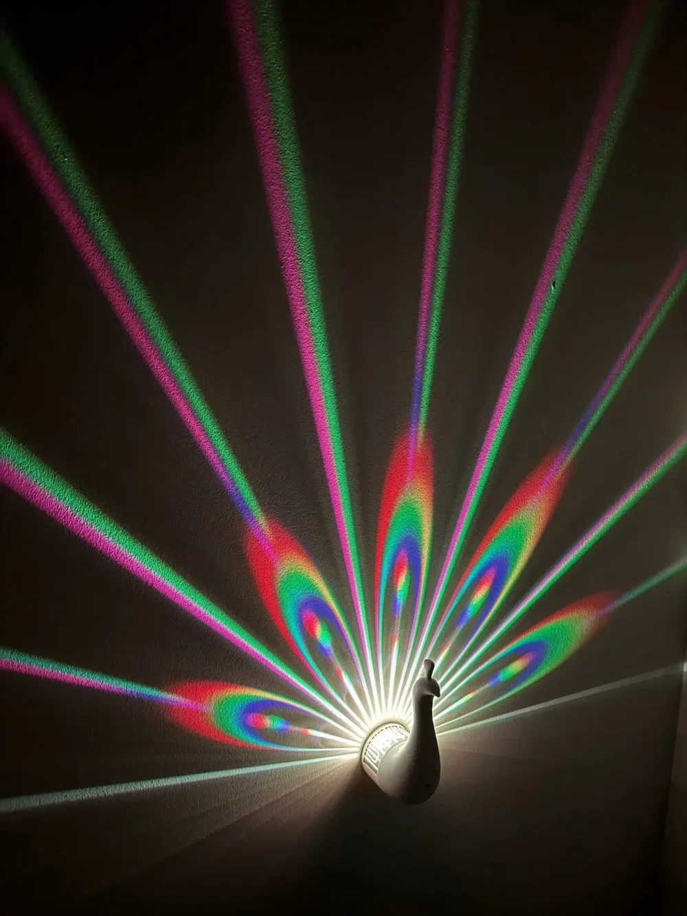 PEAPRO-Peacock-Projector-32-scaled-scaled (1).webp