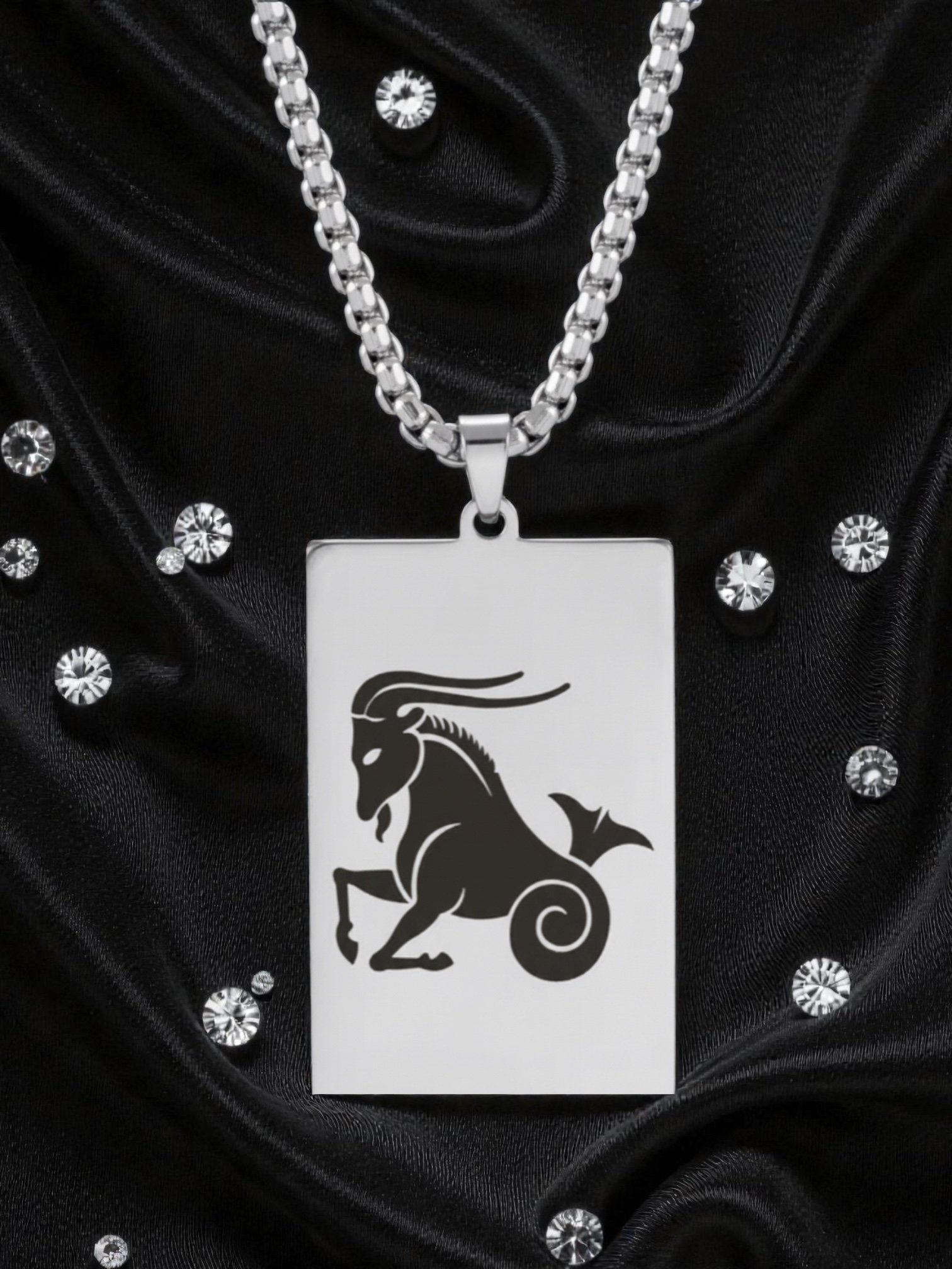 BG04 20' Capricorn Gold/Silver Zodiac Tag Necklace