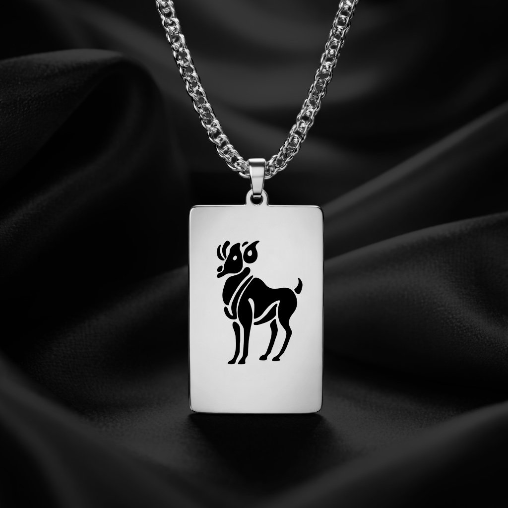 DG03 20' Aries  Gold/Silver Zodiac Tag Necklace