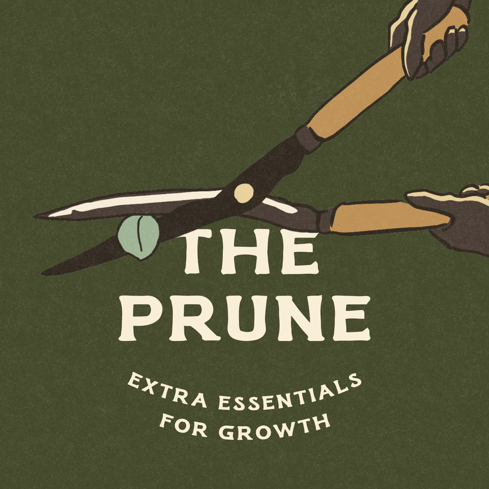 The Prune - Extra Essentials For Growth (Logo, colour palette, extended icons, copy, socials templates, patterns & more)