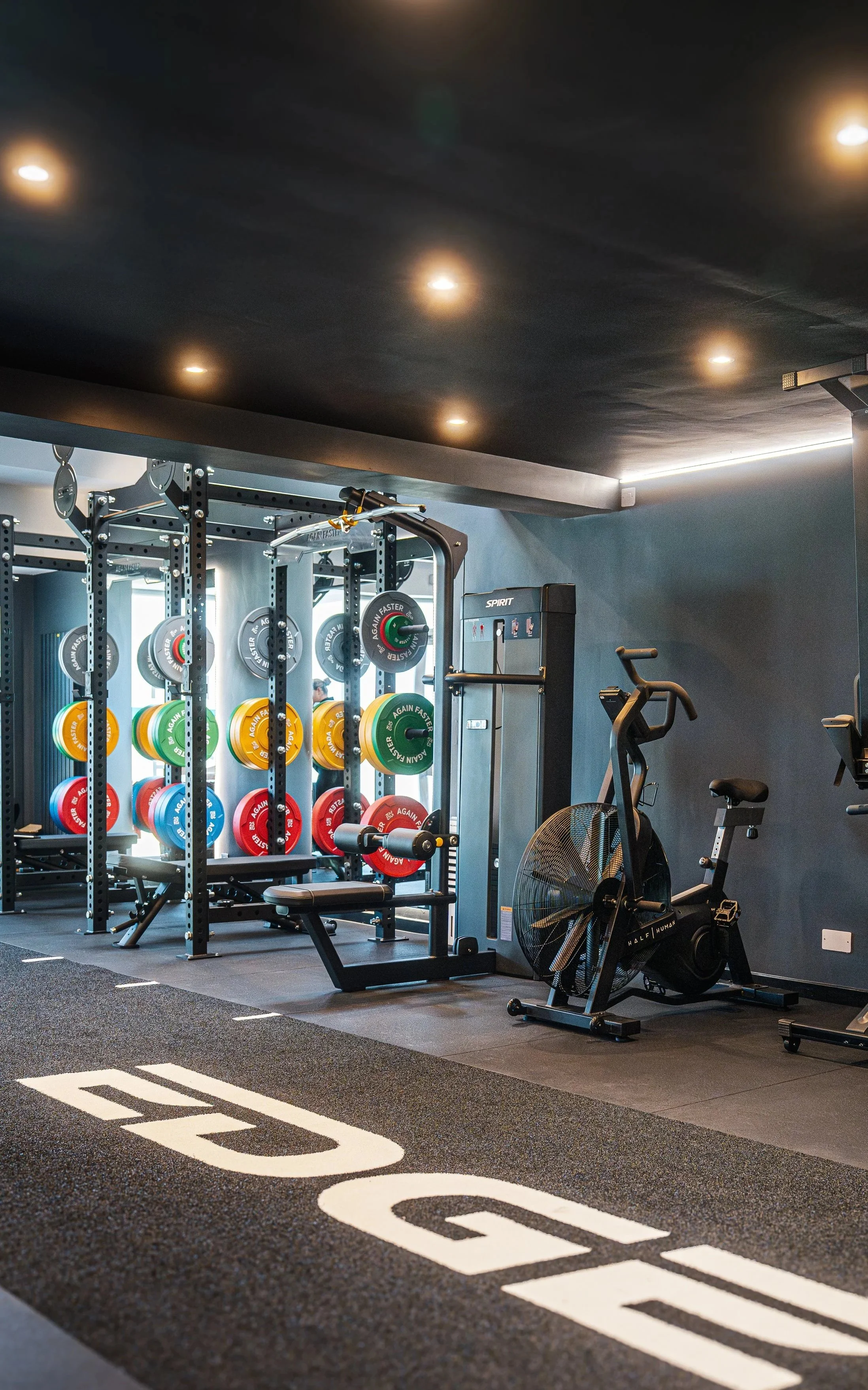 Fitness gym with weightlifting equipment, colorful plates, a rowing machine, and a fan, in a well-lit room.