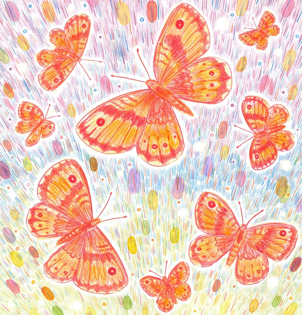 Butterflies! A pencil and watercolour illustration from the final spread of What Is A Butterfly?