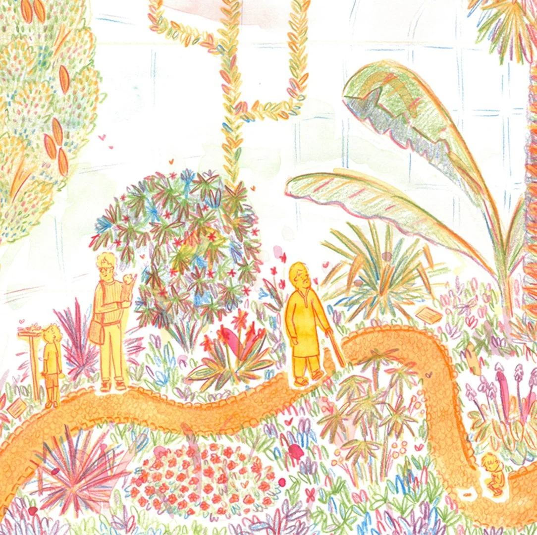 Butterfly House - Pencil and watercolour illustration from What Is A Butterfly?