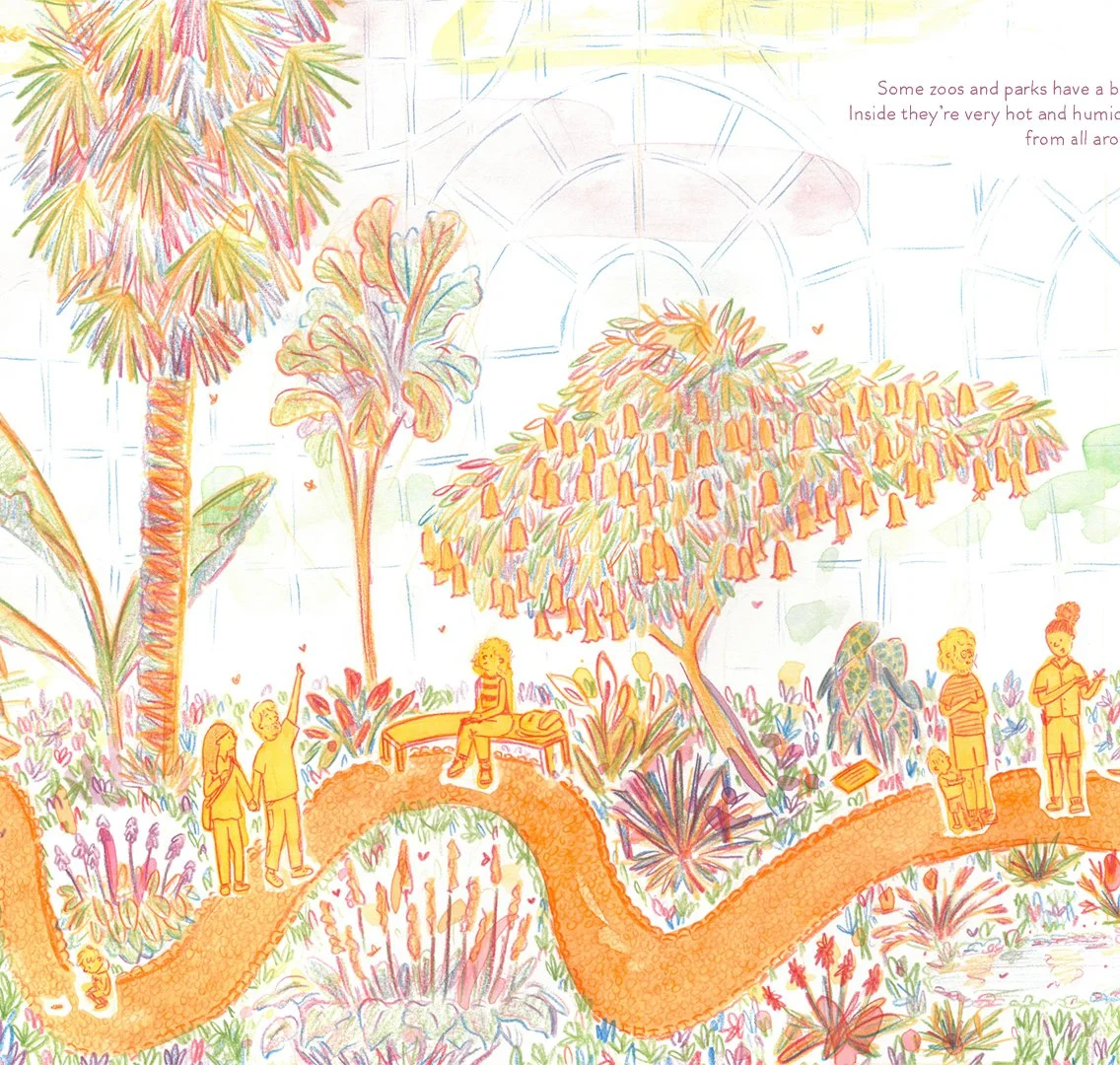 Butterfly House - Pencil and watercolour illustration from What Is A Butterfly?