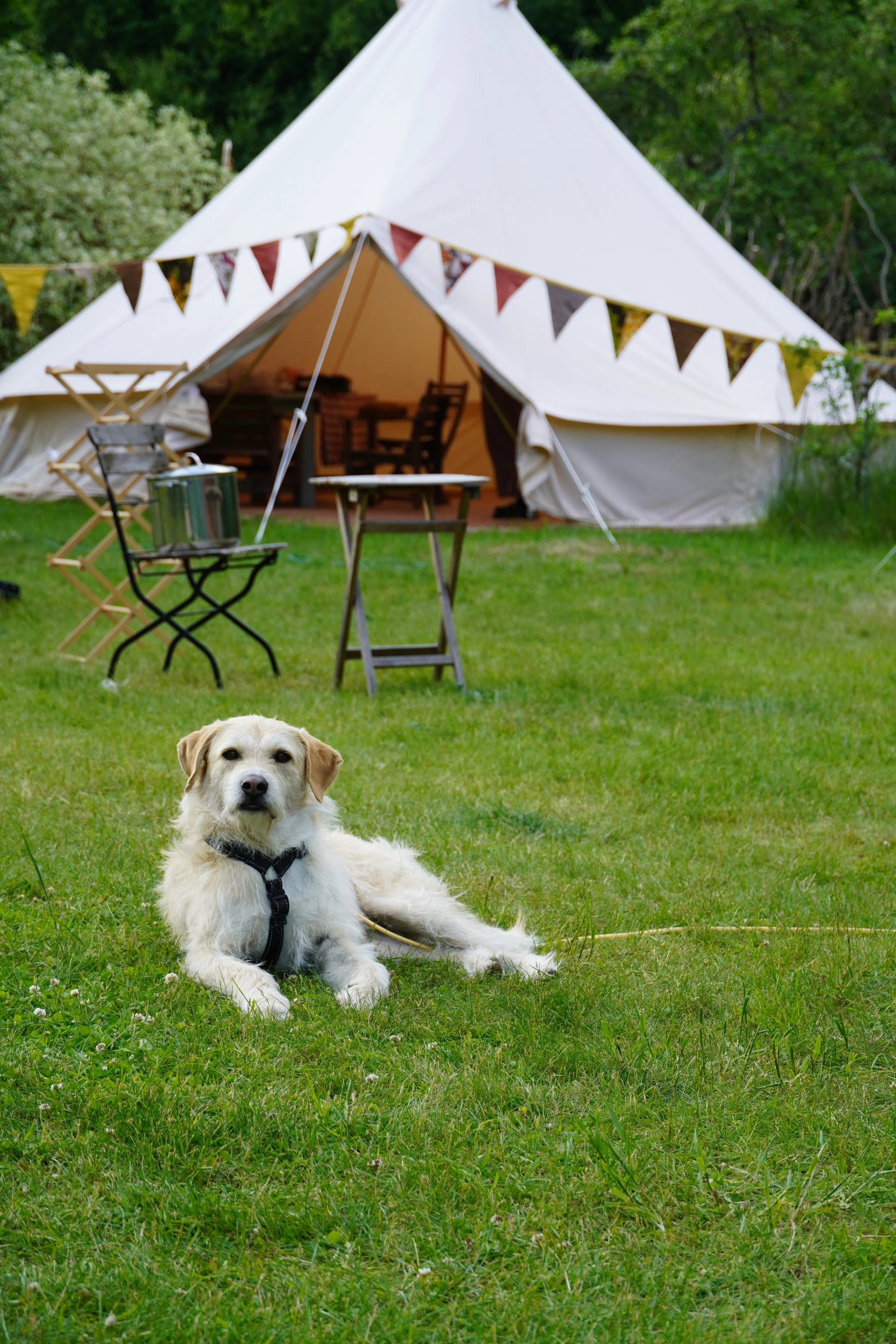 YOUTH (3-13yrs old) Tickets - Thursday to Sunday