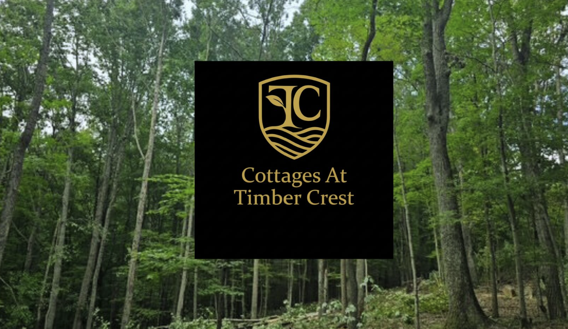 A wooded forest with tall trees and green foliage, featuring a black square in the center displaying a gold logo and text for Cottages At Timber Crest.