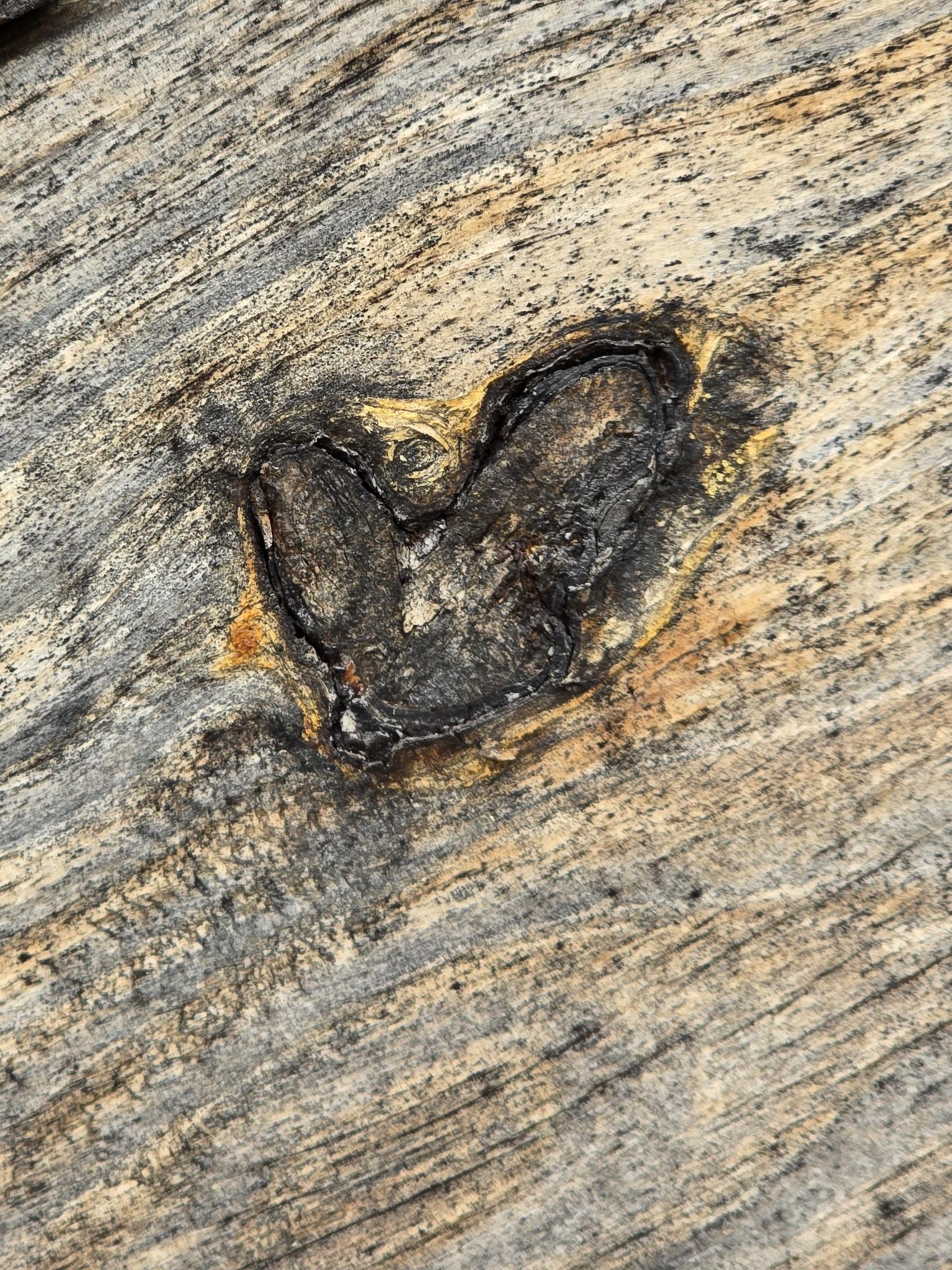 Close-up of wood grain with a burned heart shape carved into the wood. Come be closet to us with nature and friendship.
