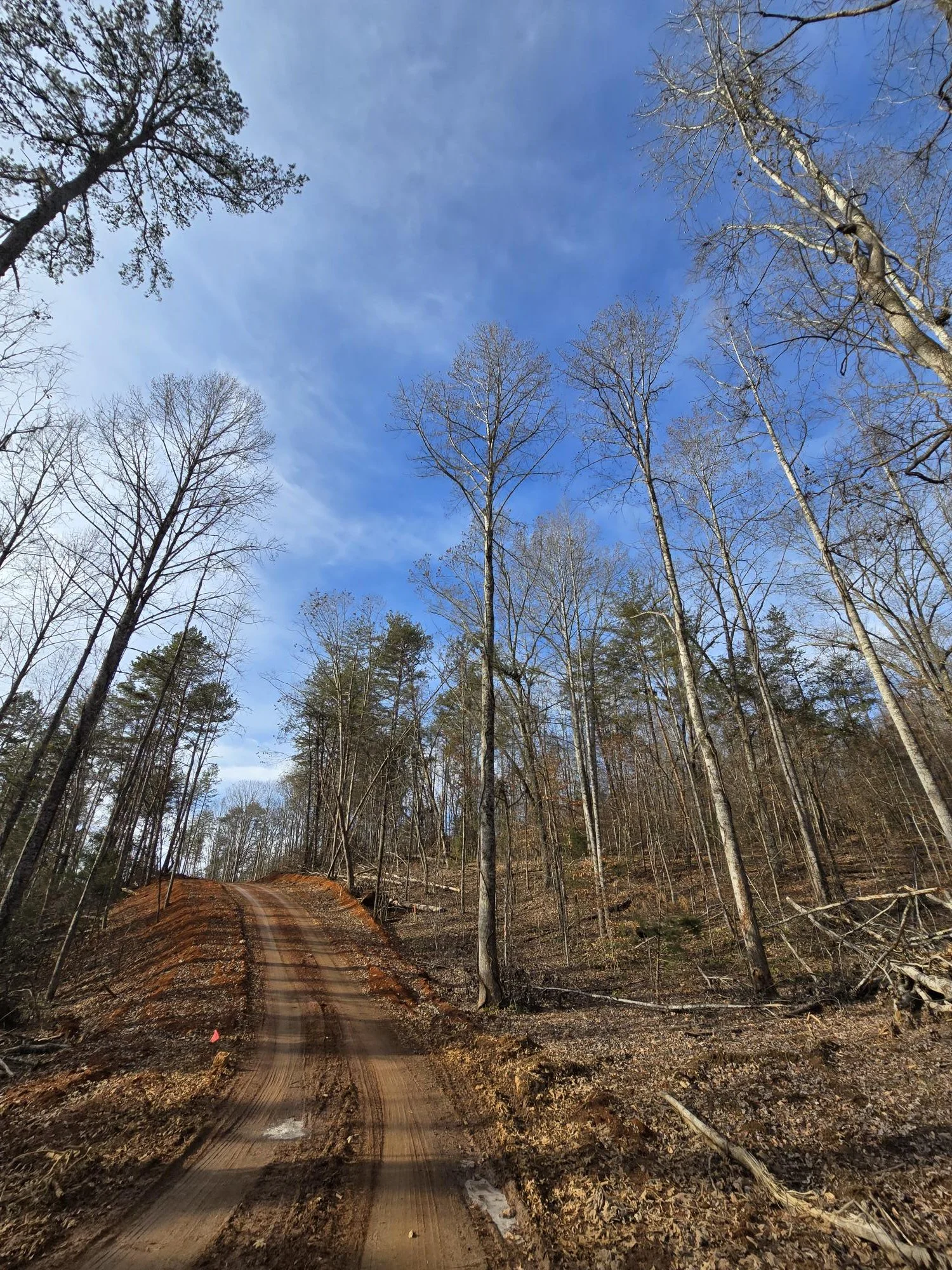 Affordable long‑term lots for tiny home, cottage, and container homeowners.