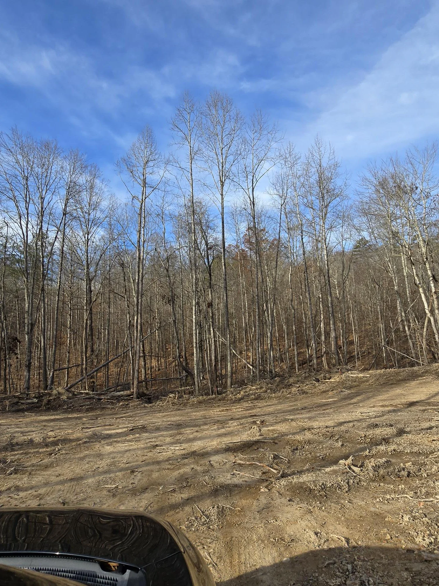 Easy road access to leased land for tiny home, or small cottage set‑up.