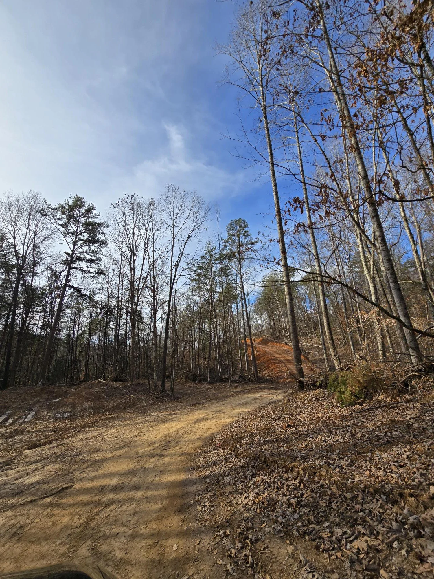 Spacious land lots with natural views for long‑term tiny house living.