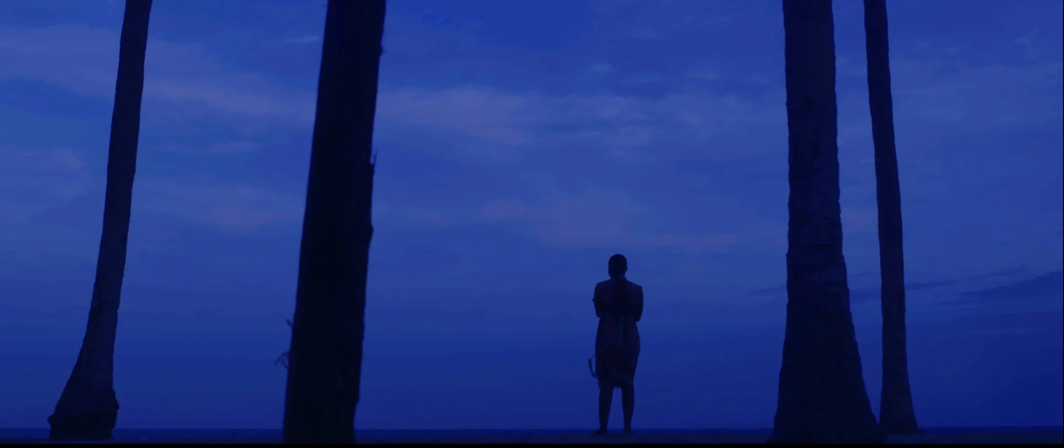 Silhouette of a person standing between tall trees during twilight with a blue sky and clouds in the background.