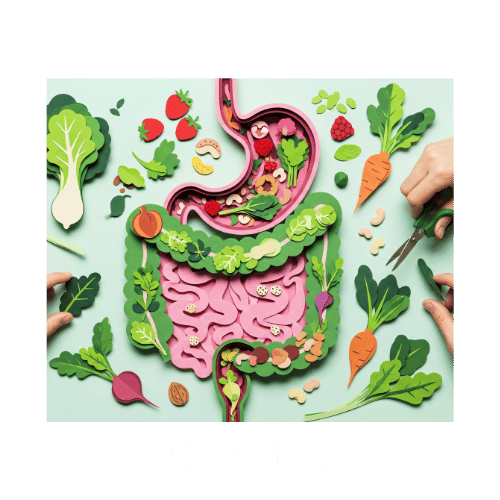 Les “3 C” du matin : mythe ou réalité digestive ?