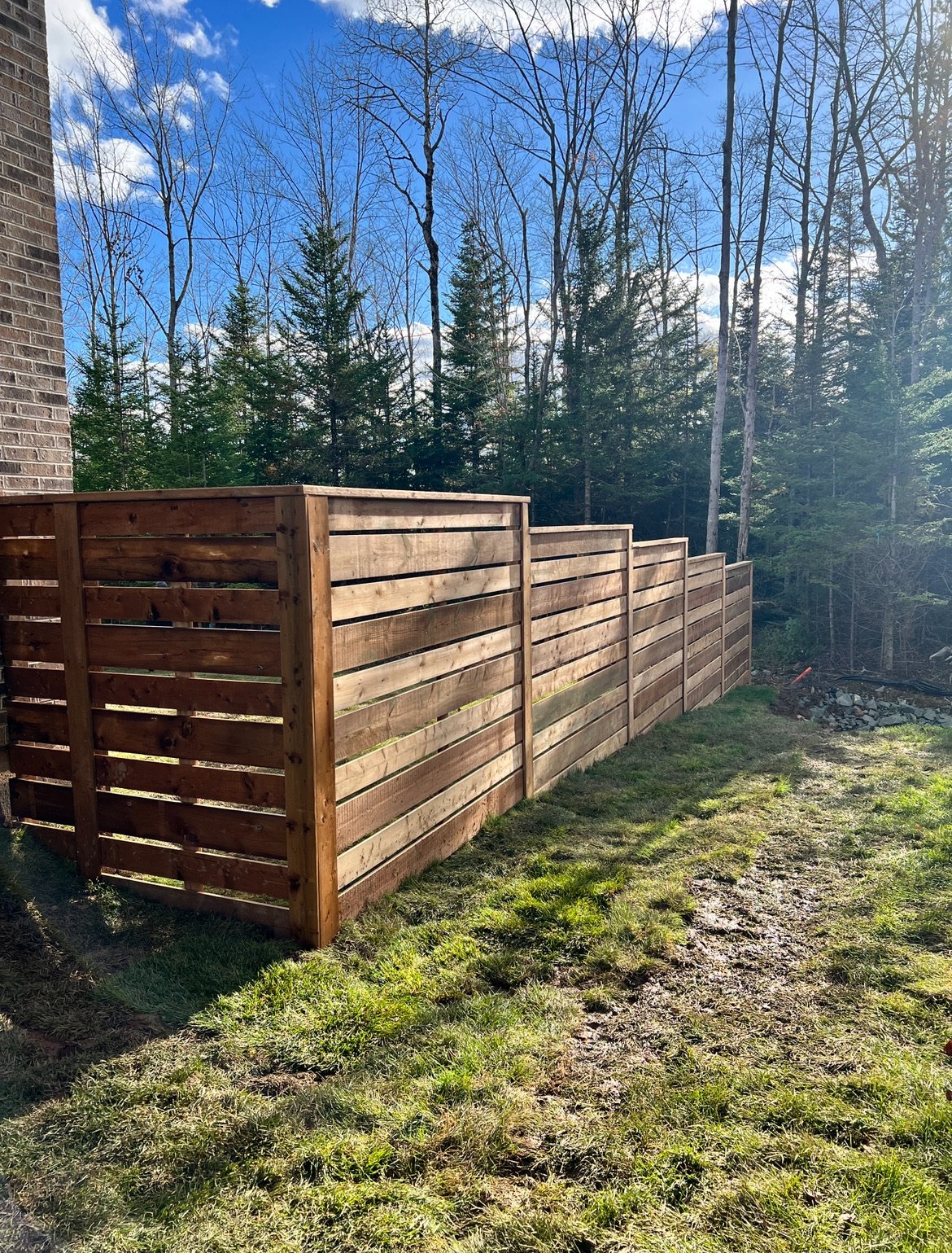 A wooden fence runs along the edge of a grassy yard, with a background of leafless trees and a partly cloudy blue sky.