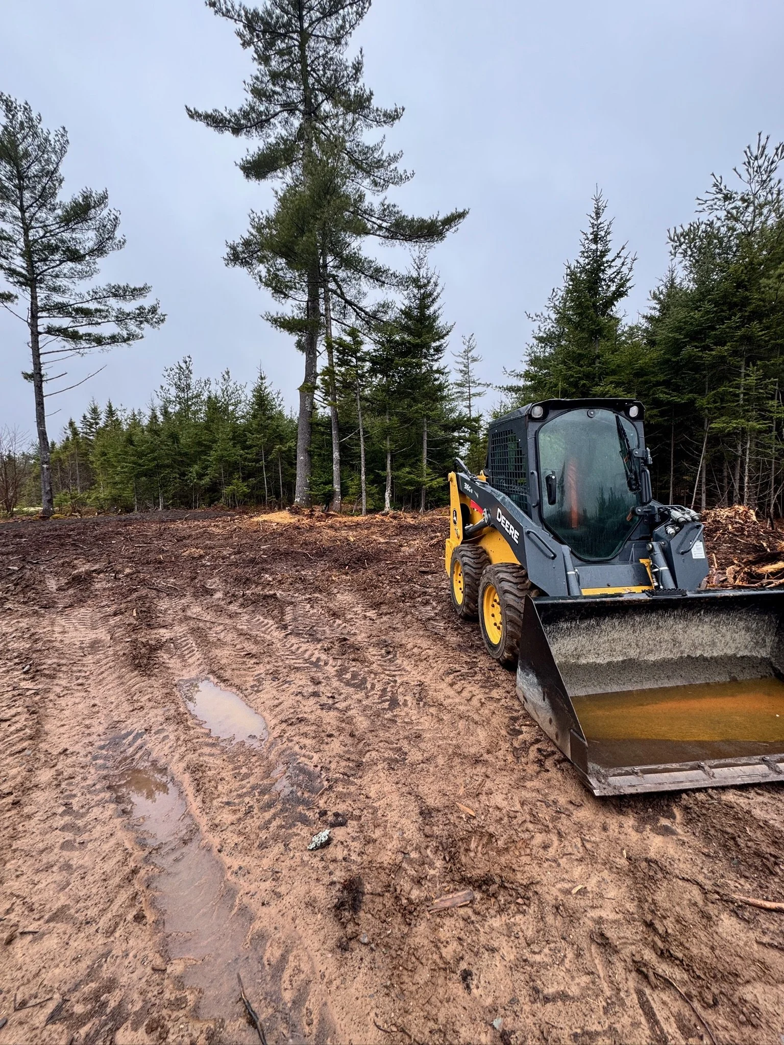 A bulldozer on a muddy construction site with tall trees in the background.