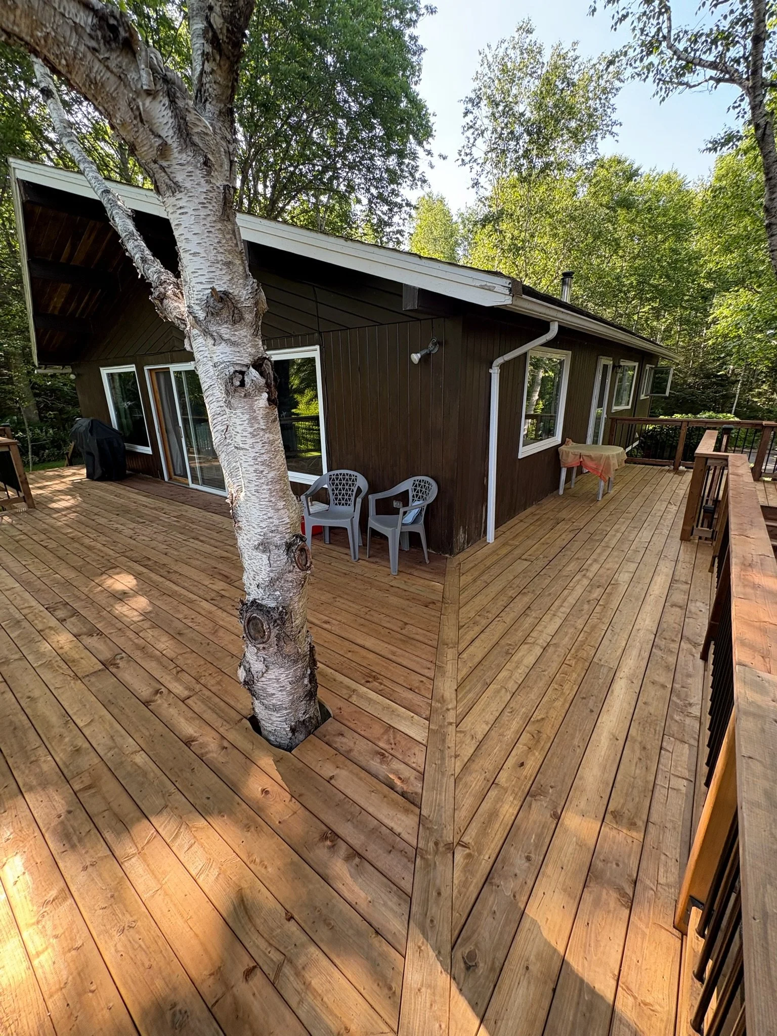 A large wooden deck with a tree growing through the middle, attached to a brown house with sliding glass doors and multiple windows, surrounded by green trees.