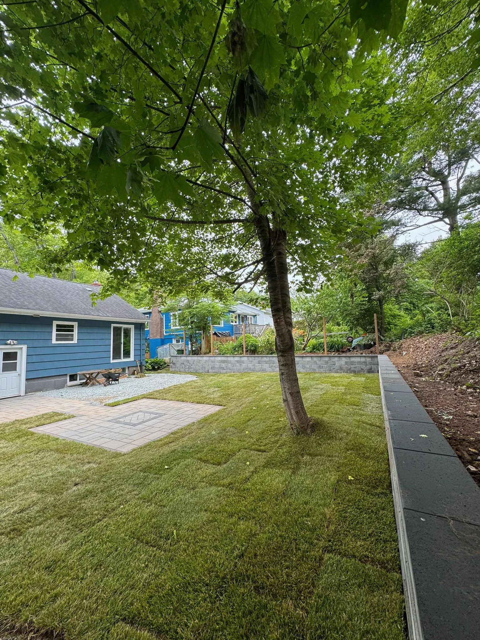 Residential backyard with green grass, a dirt path, a large tree, a blue house, and a patio with pavers.