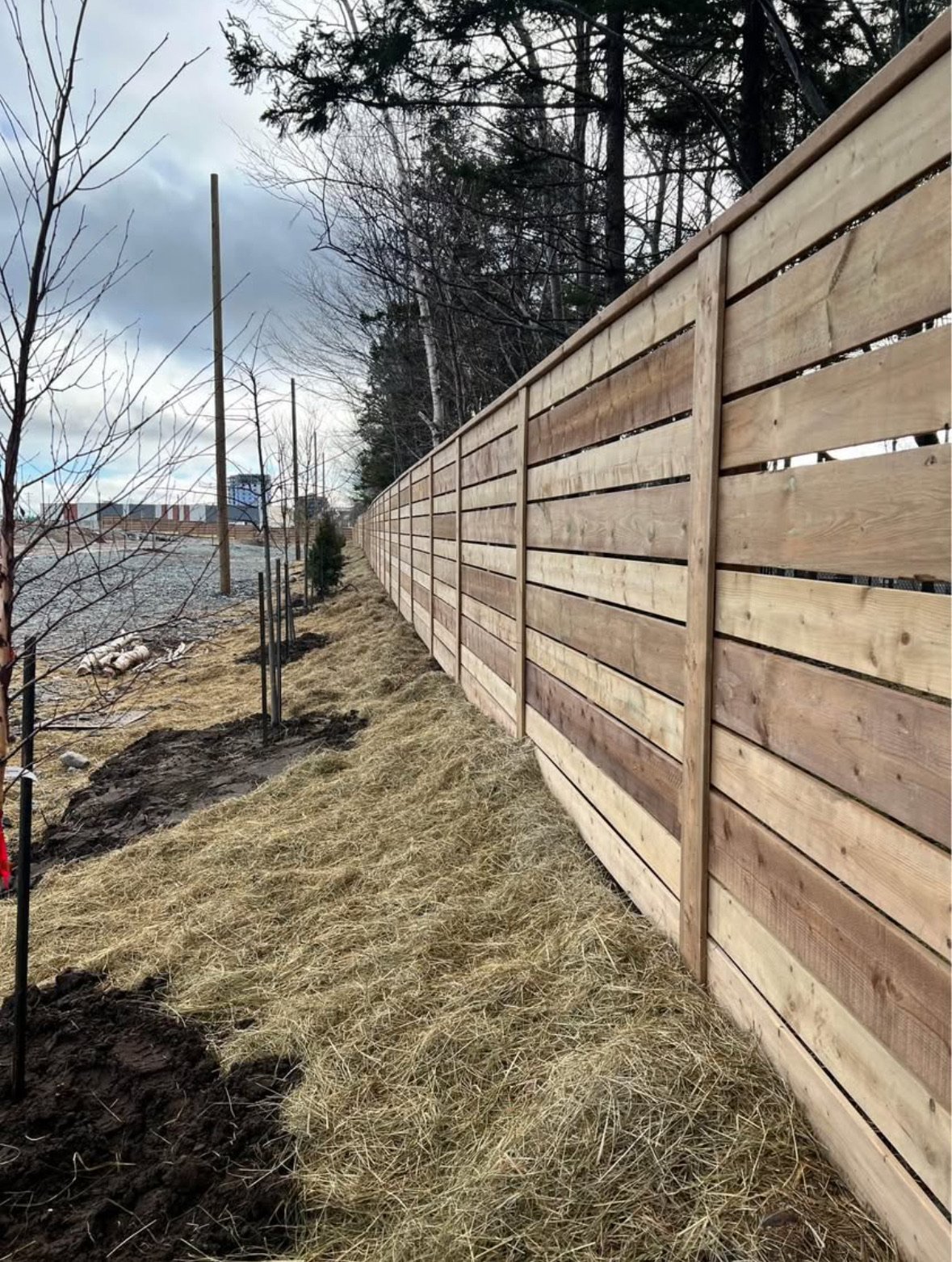 Wooden privacy fence along a grassy yard with small trees, with cloudy sky and power lines in the background.