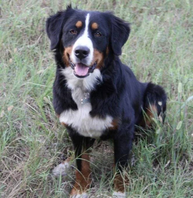 Screenshot 2026-01-04 at 2.12.21 PM.jpeg