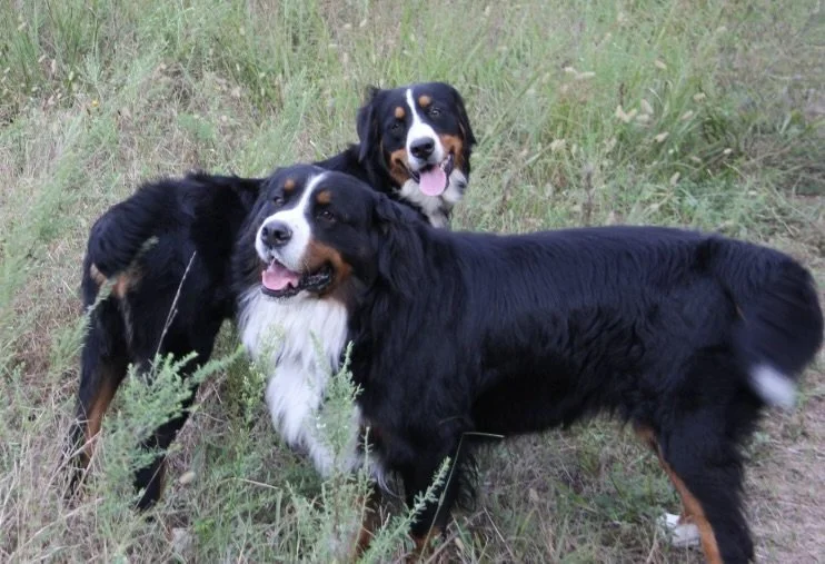 Screenshot 2026-01-04 at 2.12.35 PM.jpeg