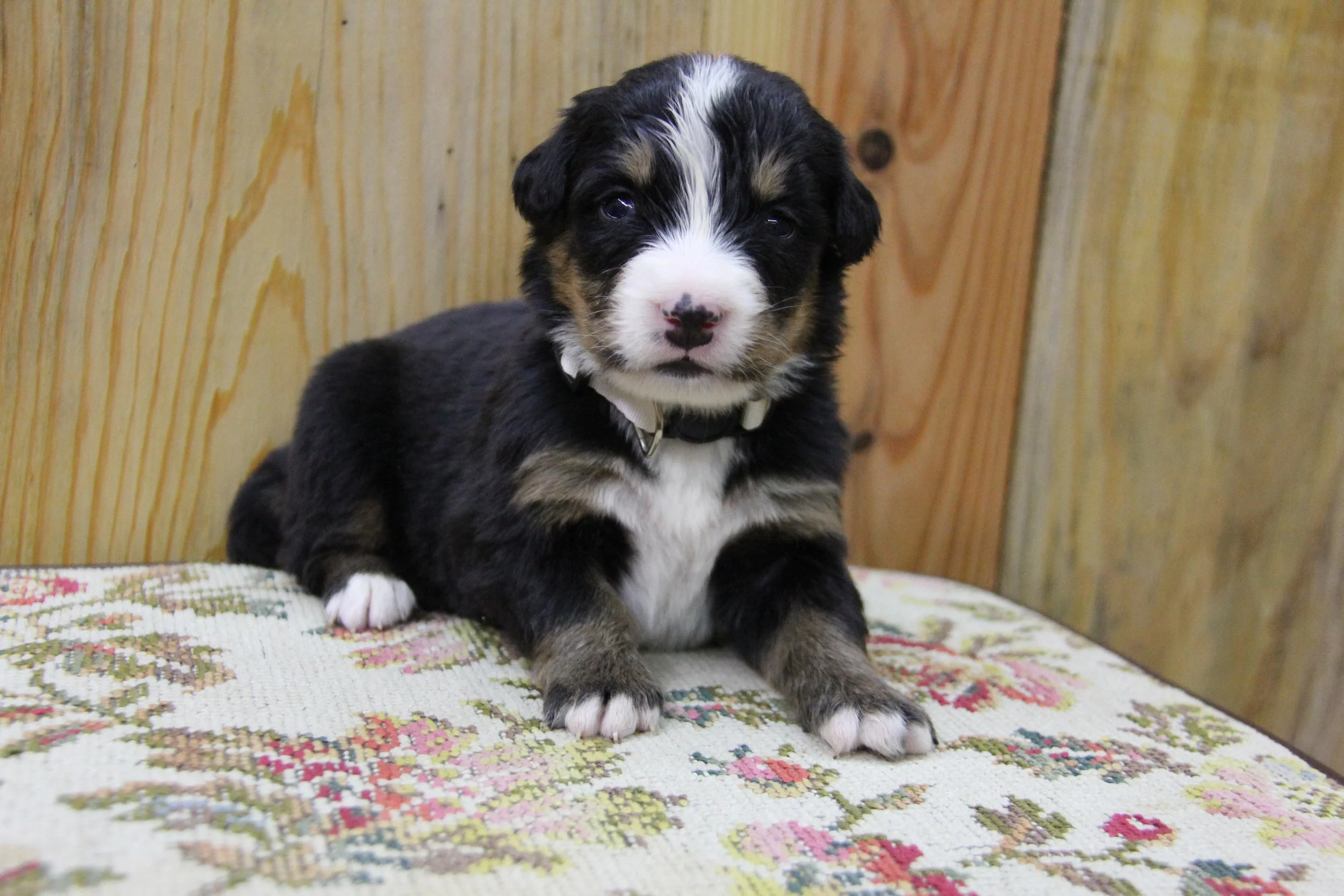 IMG_2490 5.37.34 PM.JPG