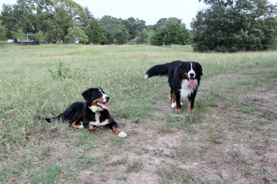 Screenshot 2026-01-04 at 2.11.57 PM.jpeg