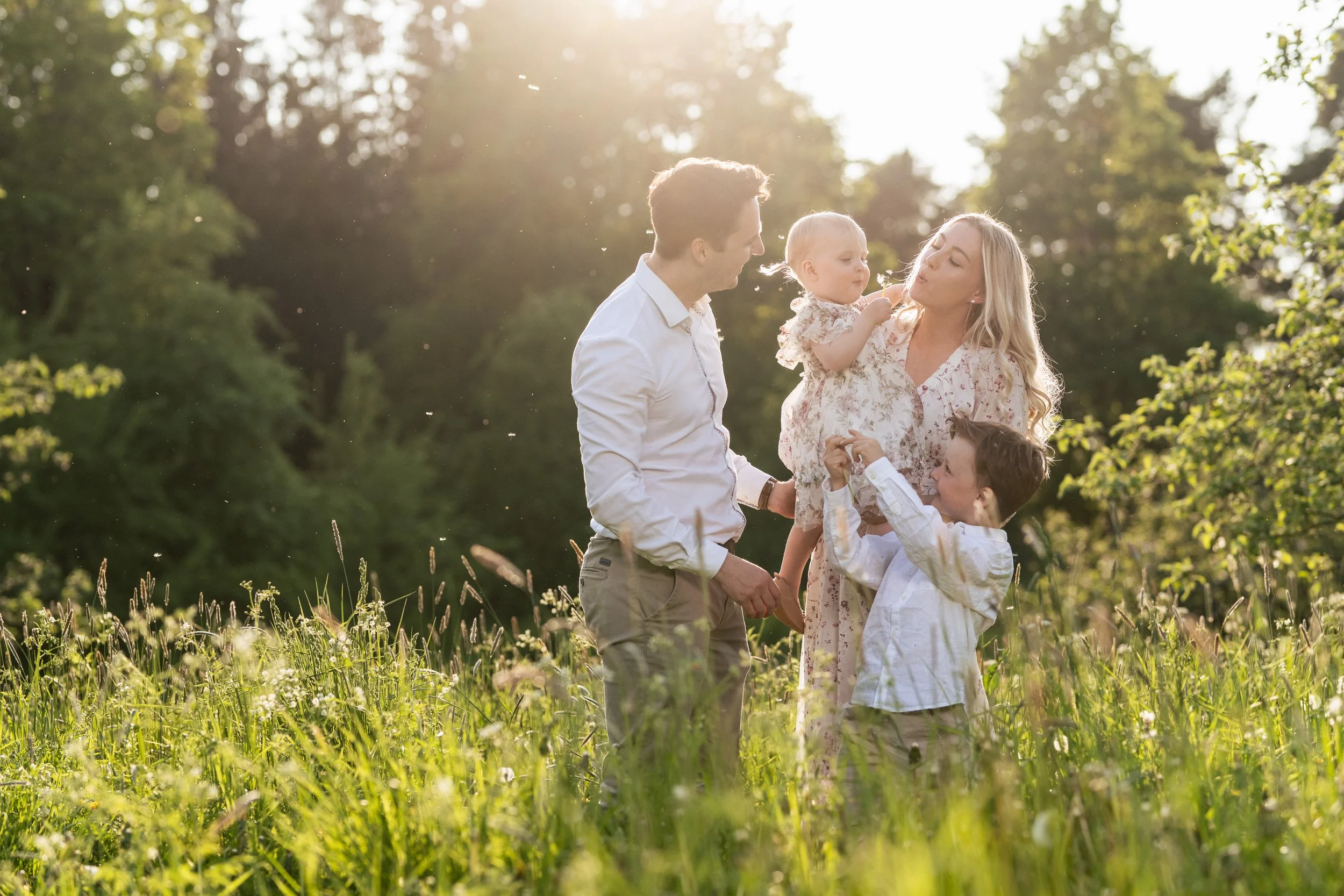 Perhe nauttii ulkoilmasta auringonpaisteessa heinikossa.