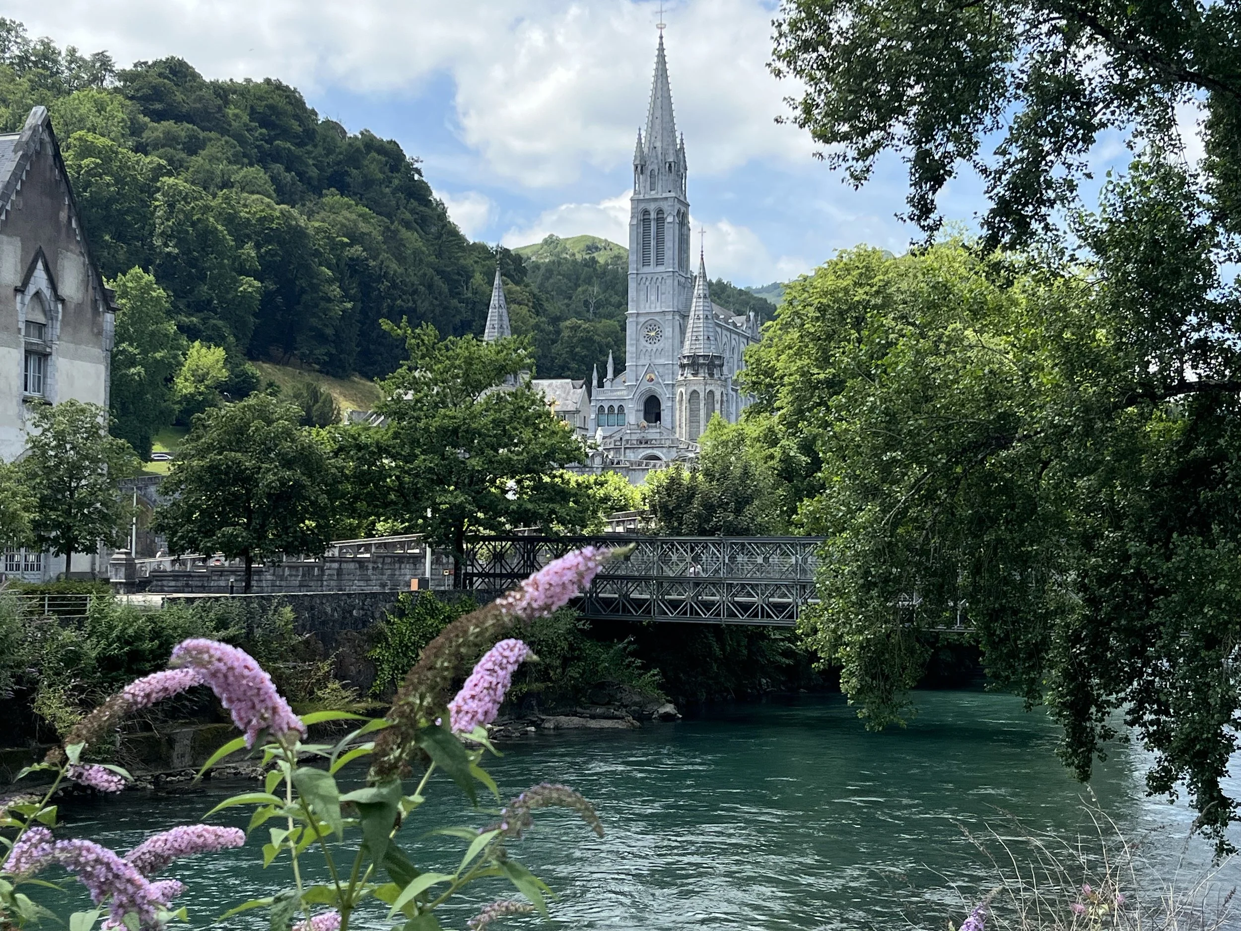 Una chiesa gotica bianca con un grande campanile si trova sullo sfondo tra le colline verdi, vista attraverso gli alberi e le foglie, con un fiume che scorre in primo piano e fiori rosa sulla riva.