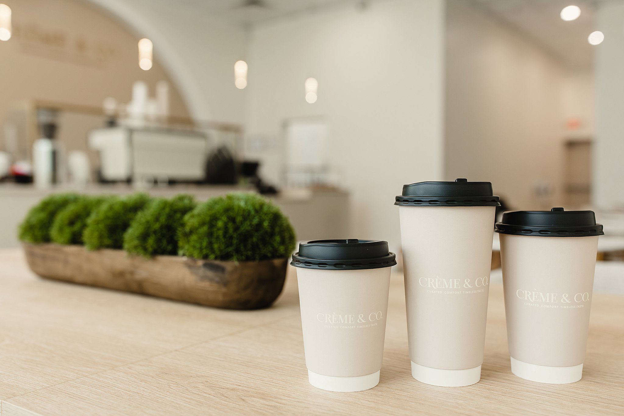 Four white disposable coffee cups with black lids sitting on a light wooden table, with some green plants in a bowl and a blurred background of a modern, well-lit interior space for brand photos with Ally and B Photography.