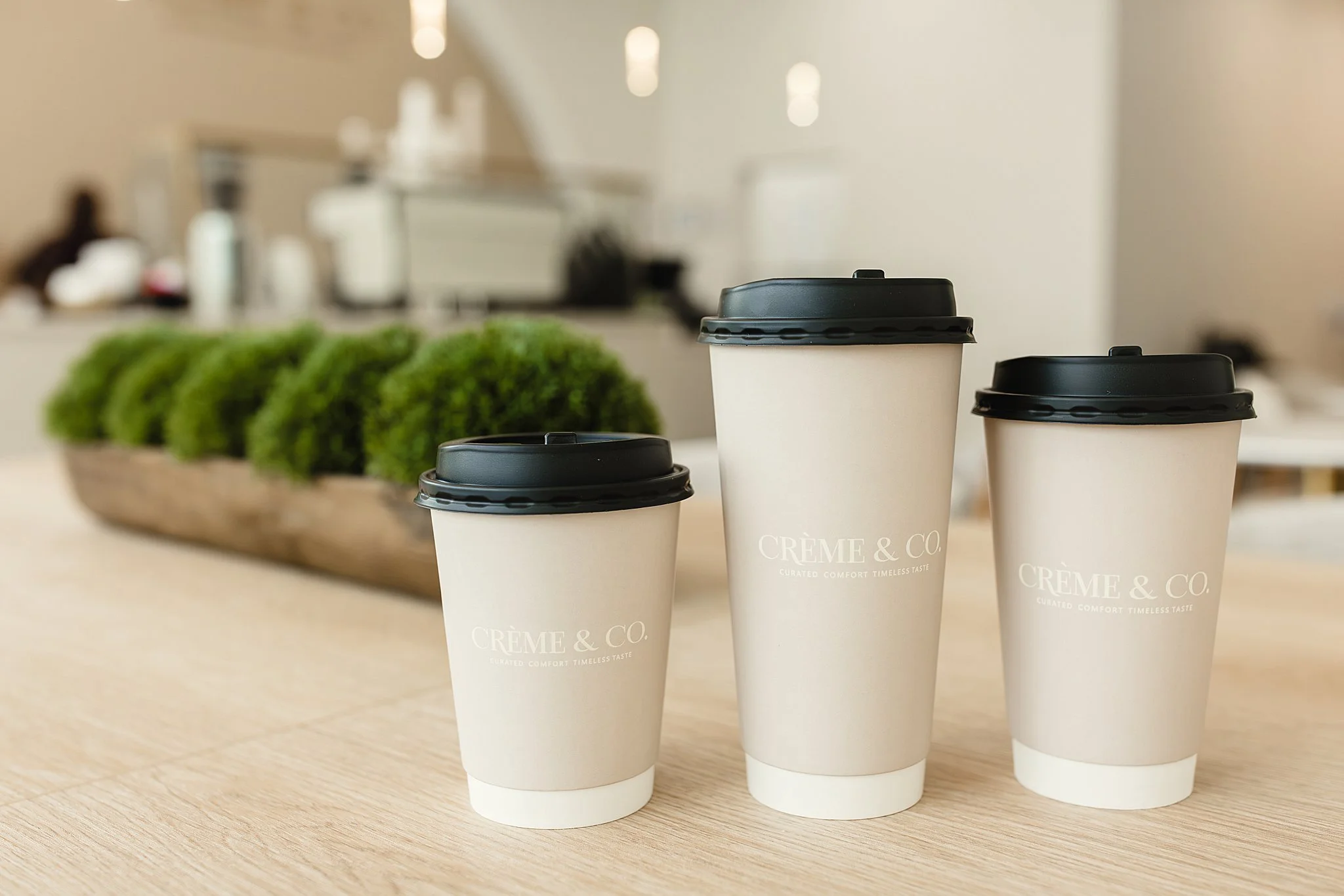 Four white takeaway coffee cups with black lids on a wooden surface, with green plants and a blurred background for branding photography near me.