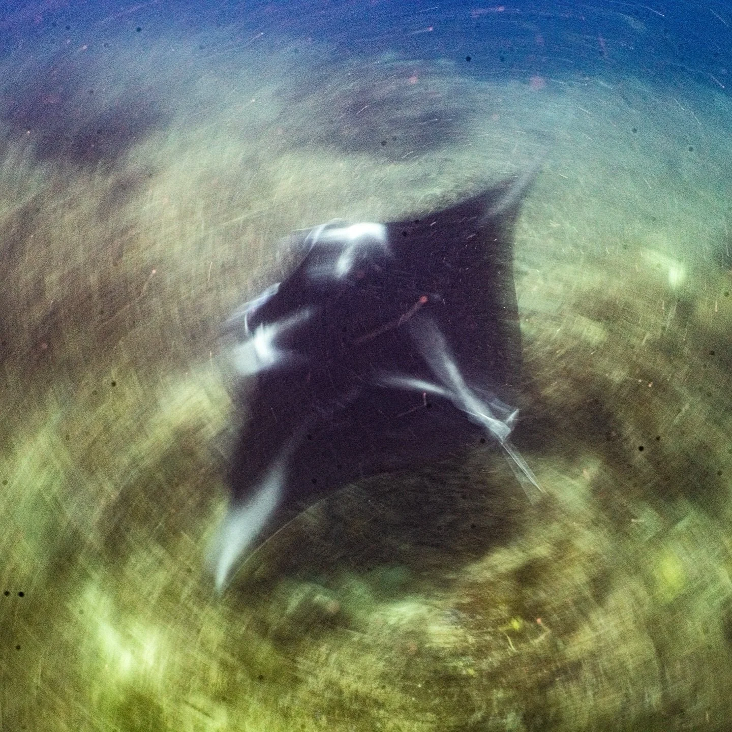 Feel the movement &mdash; I was aiming to keep the moment alive.

&mdash;&mdash;&mdash;&mdash;&mdash;&mdash;&mdash;&mdash;&mdash;&mdash;&mdash;&mdash;&mdash;&mdash;&mdash;&mdash;&mdash;&mdash;&mdash;&mdash;&mdash;&mdash;&mdash;&mdash;&mdash;&mdash;&m