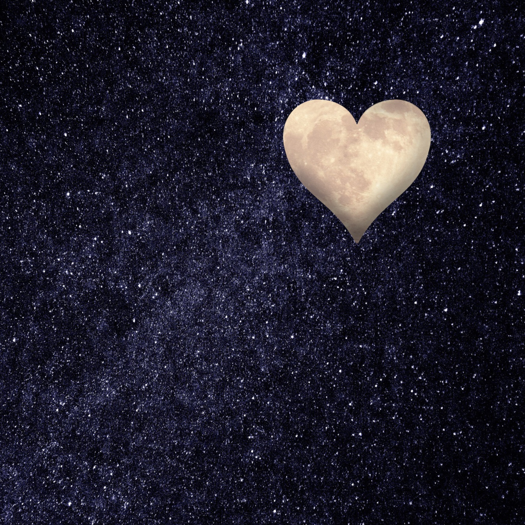 What We Choose to Notice: How Directing Attention to What is Meaningful Gives Rise to Peace, Compassion, and Wisdom
