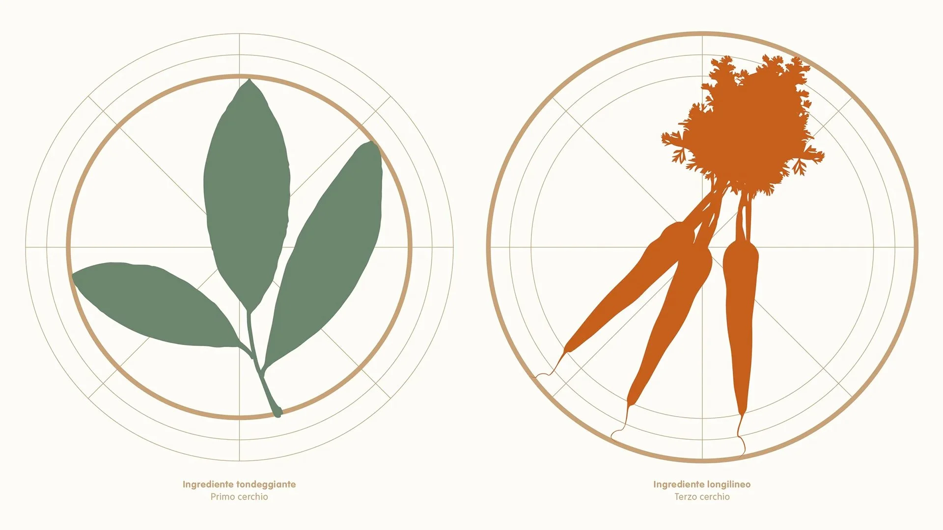 Cucina botanica illustrazioni 2.jpg