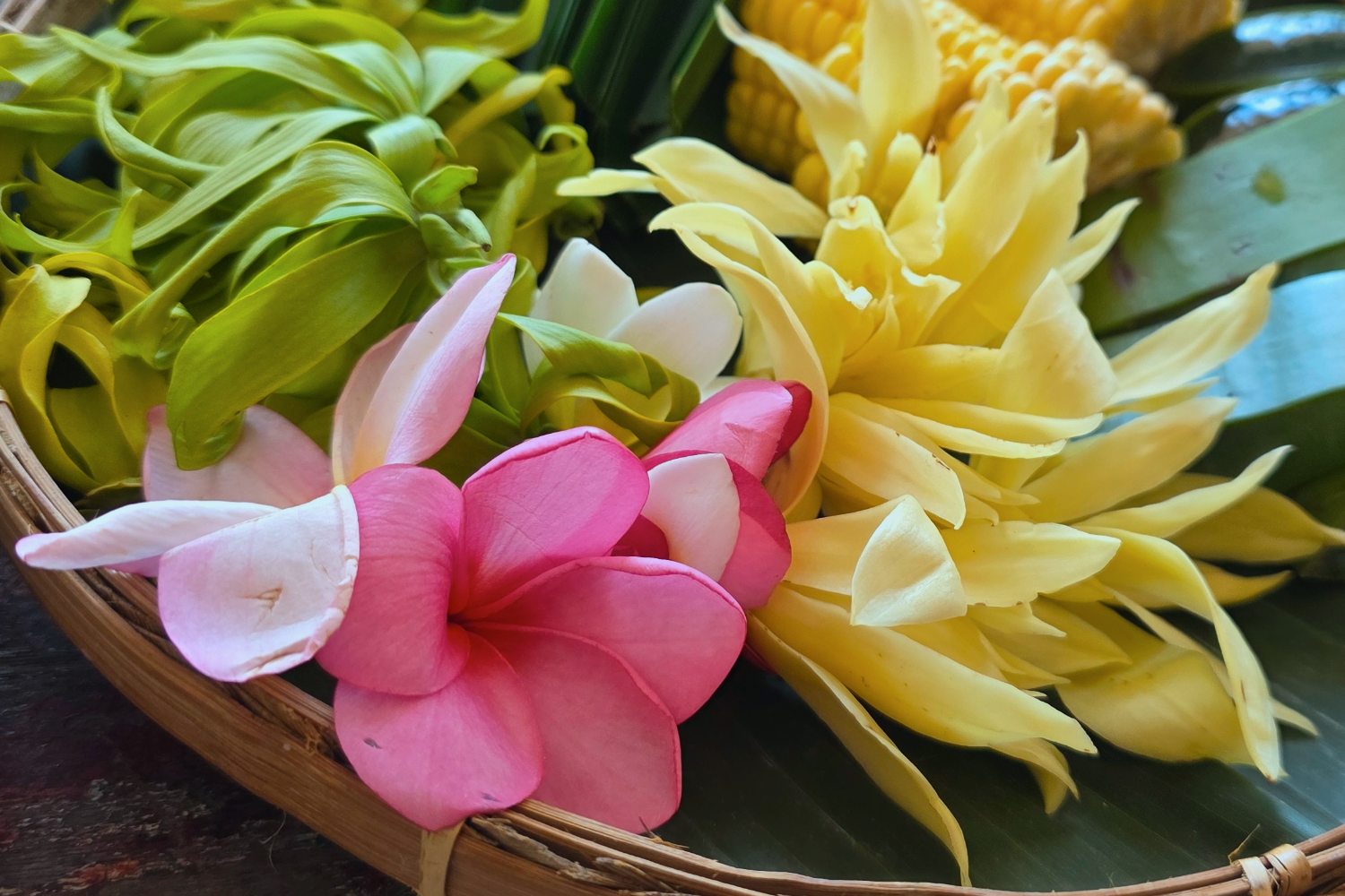 A basket of colorful tropical flowers including pink and white plumeria, yellow hibiscus, and other bright blooms.