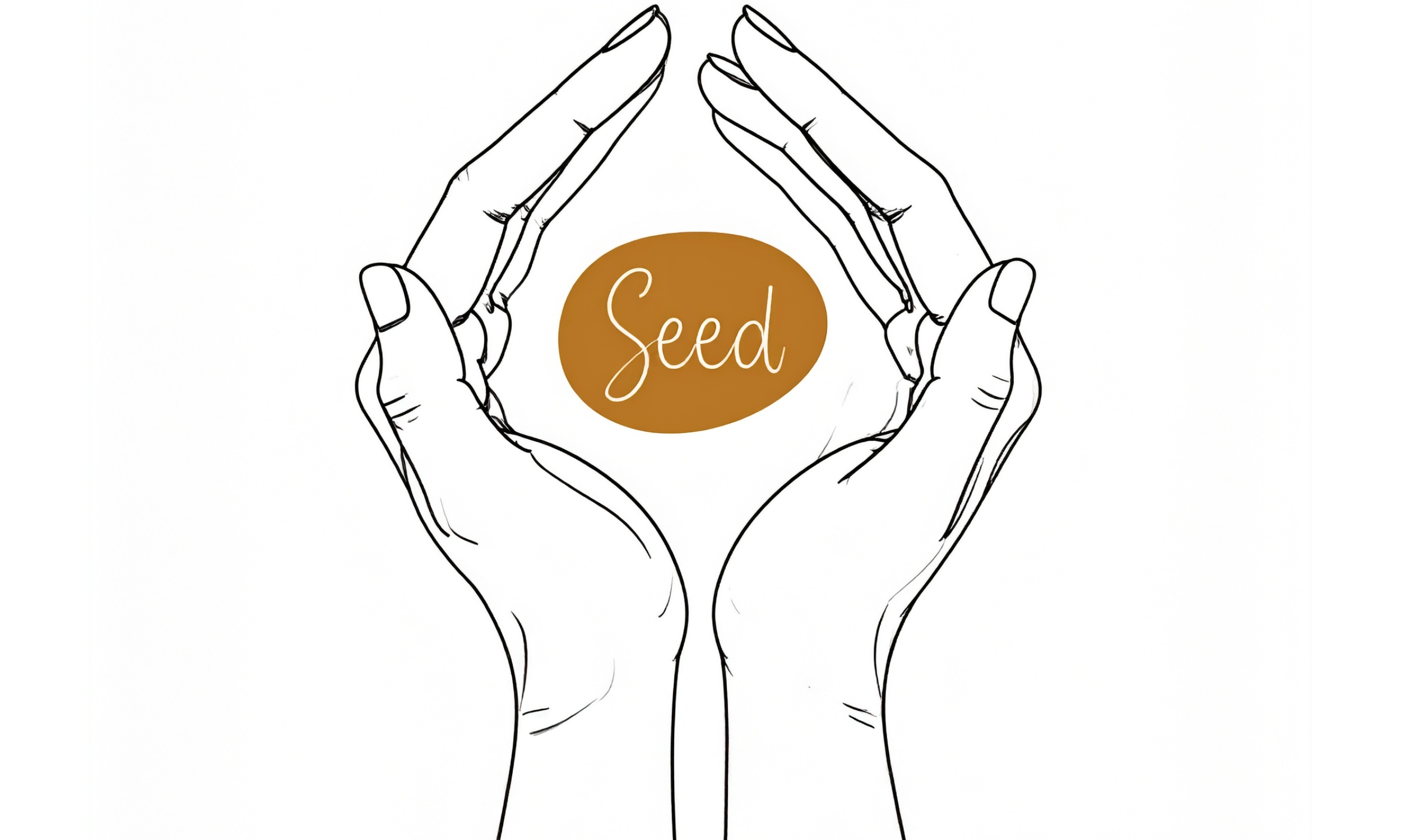 Sketch of two hands forming a triangle shape around a brown oval with the word 'Seed' written inside.