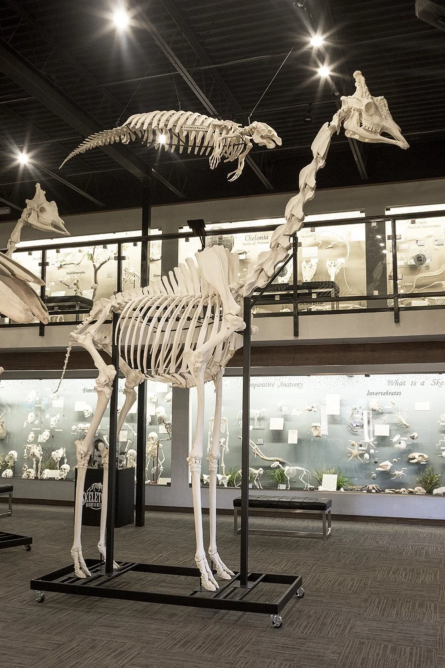 60 Minute Consultation