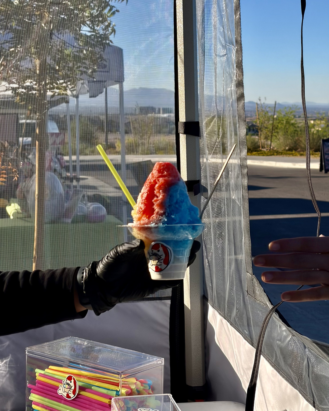Koi Ice Premium Shaved Ice Dessert Options Las Vegas