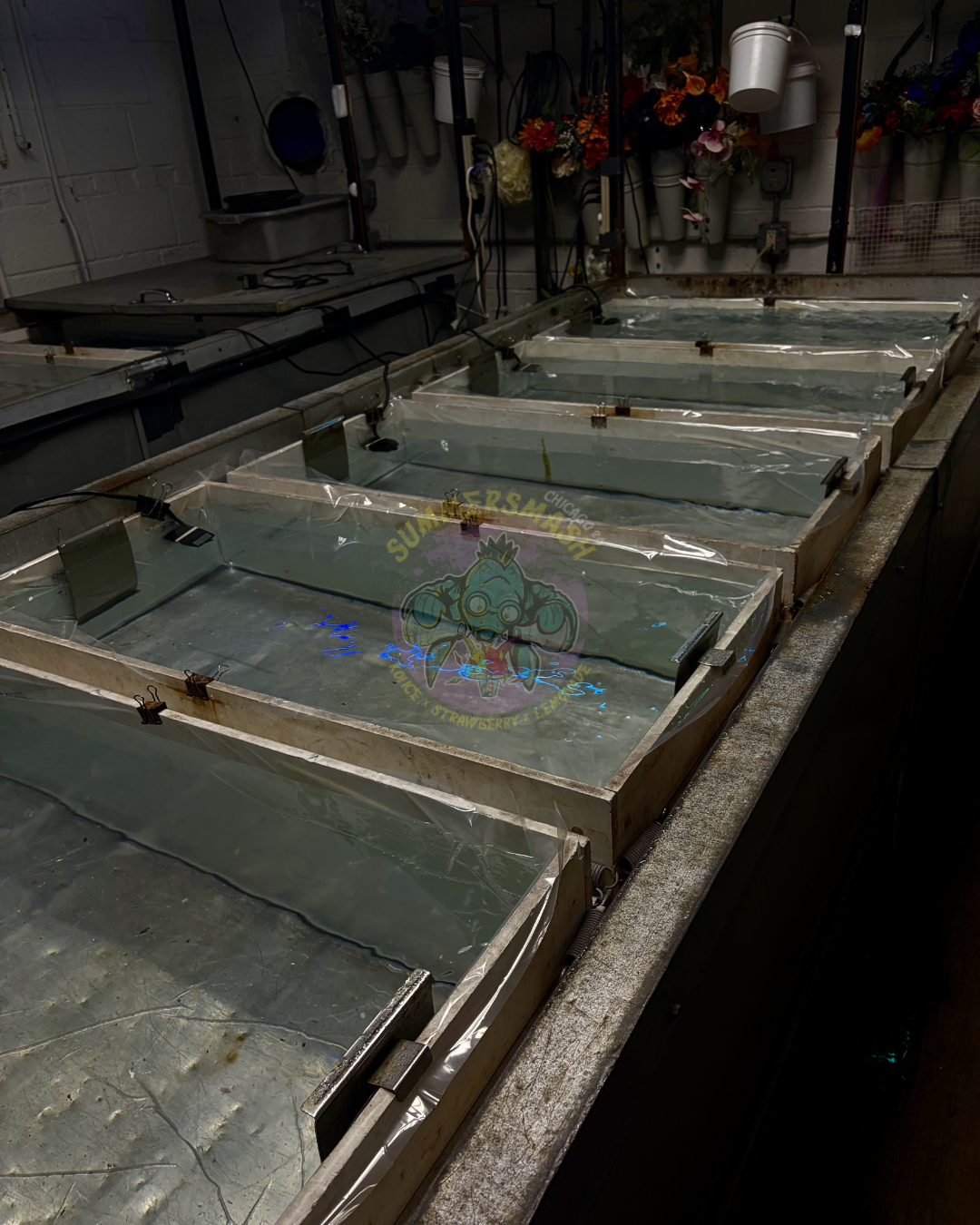 Custom-cut ice blocks prepared for Koi Ice shaved ice machines before Summer Smash 2026 in Chicago.